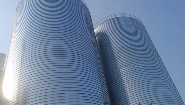 阿克苏2座混凝土高架卷板仓